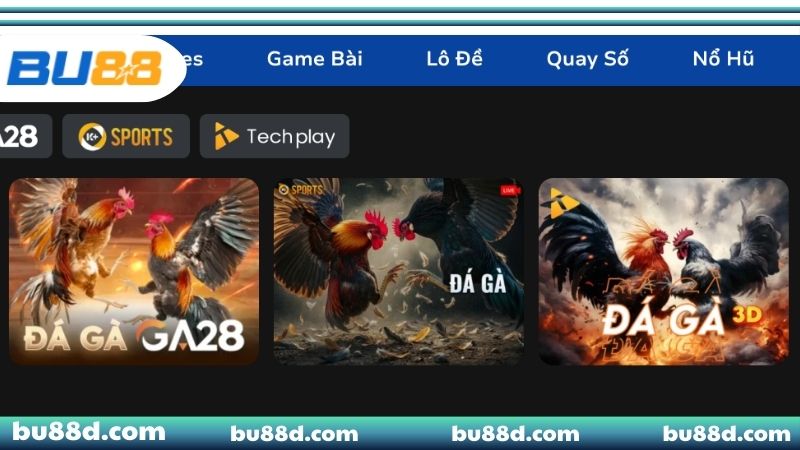 Đá Gà BU88 - Nơi Quy Tụ Hàng Triệu Sư Kê Bách Thắng Bí quyết đặt cược đá gà BU88 hiệu quả