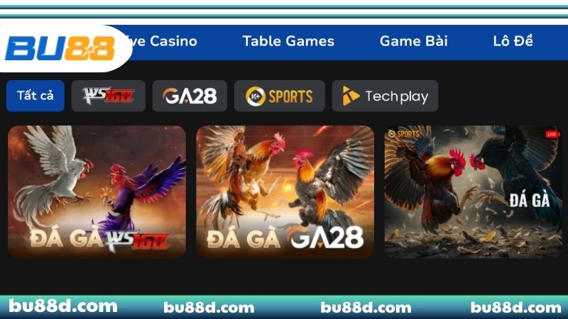 Đá Gà BU88 - Nơi Quy Tụ Hàng Triệu Sư Kê Bách Thắng Các hình thức đá gà BU88 phổ biến