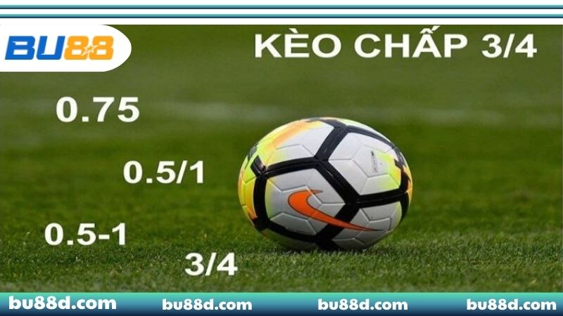 Cách đọc tỷ lệ kèo chấp cực chuẩn cho bet thủ